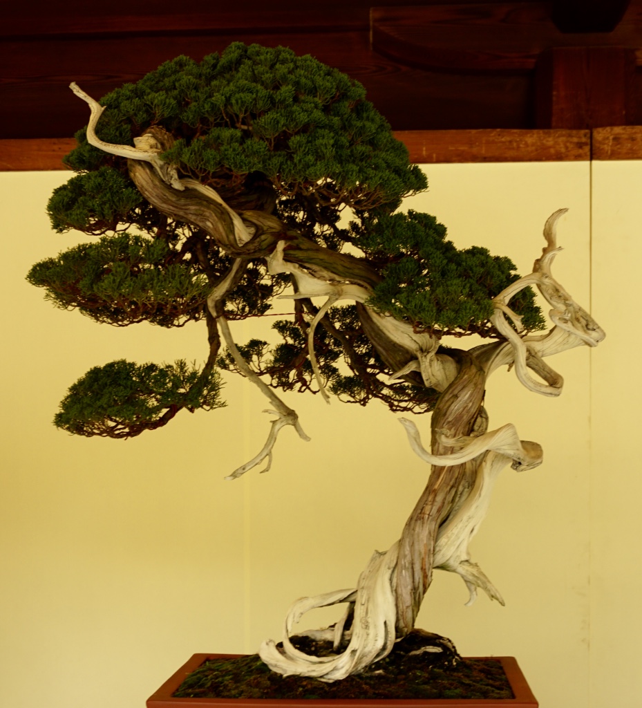 thumb_DSC05001_1024