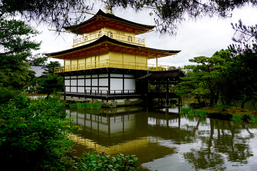 thumb_DSC05403_1024