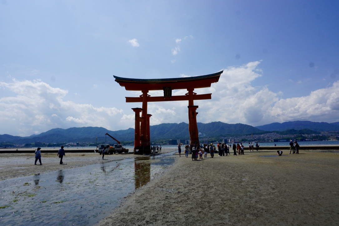 thumb_DSC05677_1024