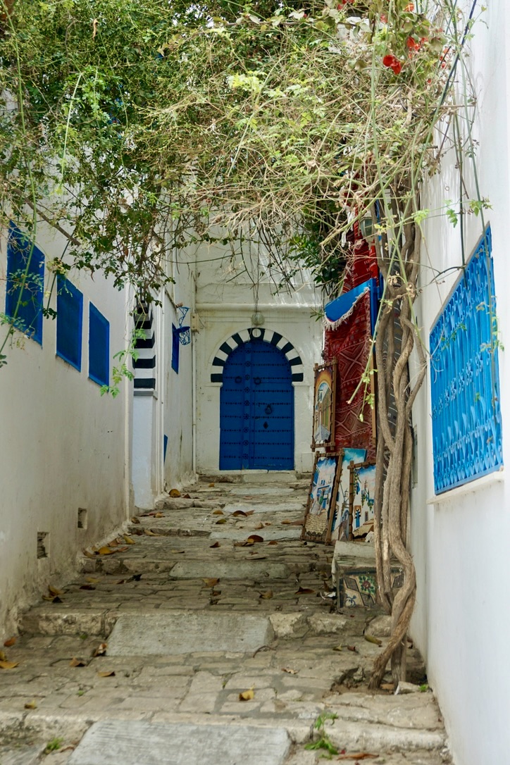Tunus,Sidi Bou said Köyü